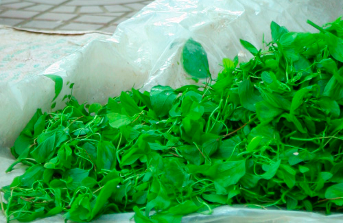 Du lịch Điện Biên mua gì về làm quà