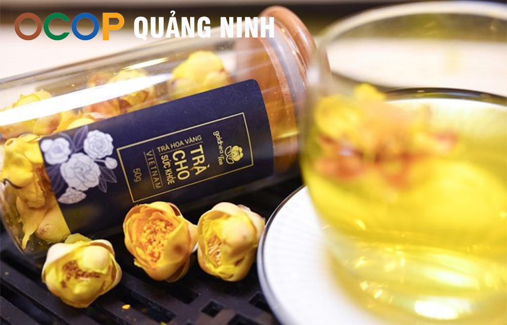 Quảng Ninh nơi có loài trà “thần dược” được săn tìm như báu vật