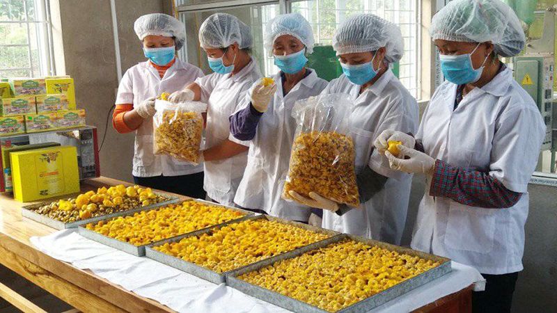 “Phải coi OCOP là một chương trình kinh tế”